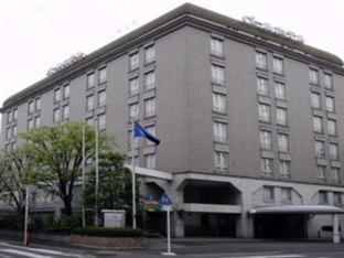Pearl Hotel Mizonokuchi Кавасаки Номер фото